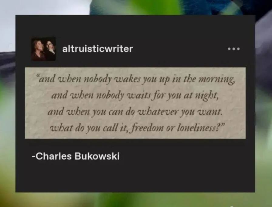 "and when nobody wakes you up in the morning, and when nobody waits for you at night, and when you can do whatever you want. what do you call it, freedom or loneliness?"